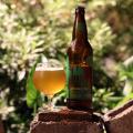 Earth Thirst Double IPA Photo 2151