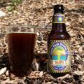 Green Flash Nut Brown Ale Photo 