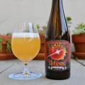 Super Flare IPA (with Wicked Weed) Photo 2746