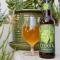 Green Coyote Tomatillo Sour Thumbnail