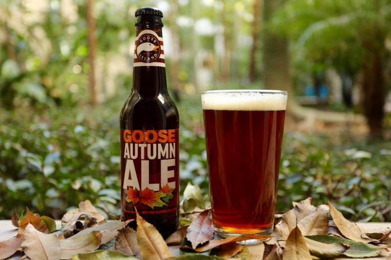 Goose Autumn Ale