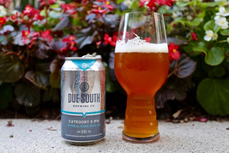 Category 5 IPA