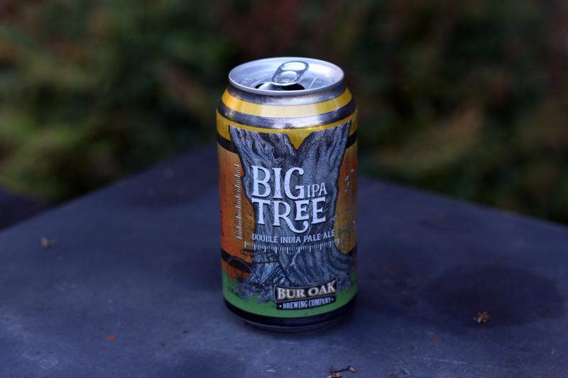 Big Tree IPA