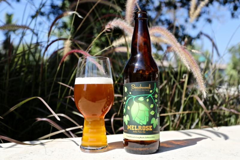 Melrose IPA