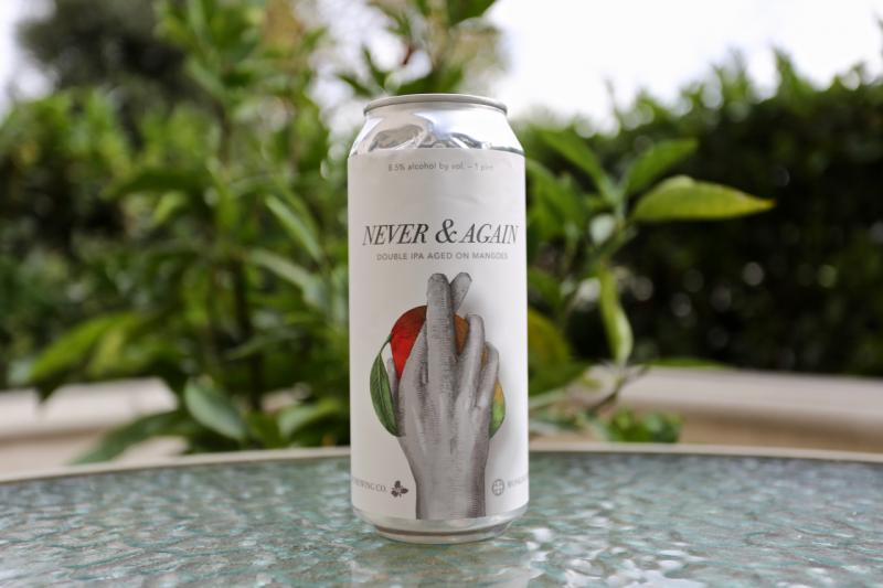 Never & Again from Trillium Brewing Company — photo 1 of 1