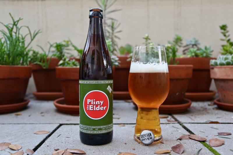 Pliny The Elder