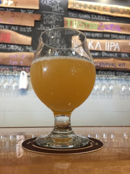 Hopland American IPA from Forager Brewery — photo 1 of 1