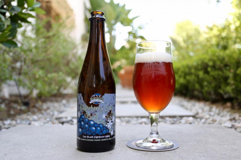 Elderberry Sour