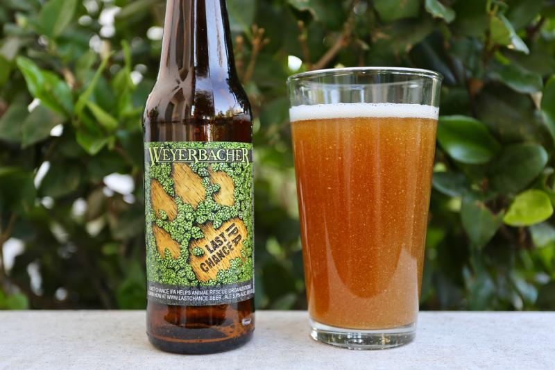 Last Chance IPA
