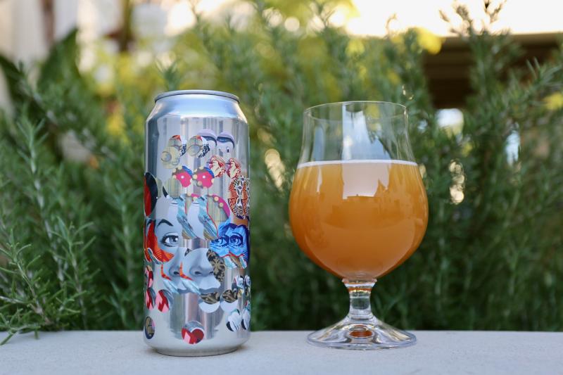Falling Water IPA