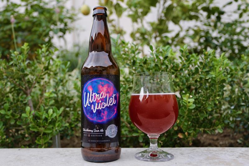 Ultra Violet Blackberry Sour Ale