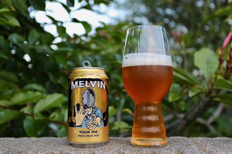 Your IPA