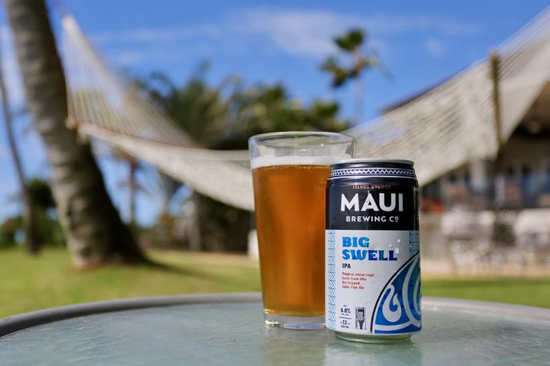 Big Swell IPA