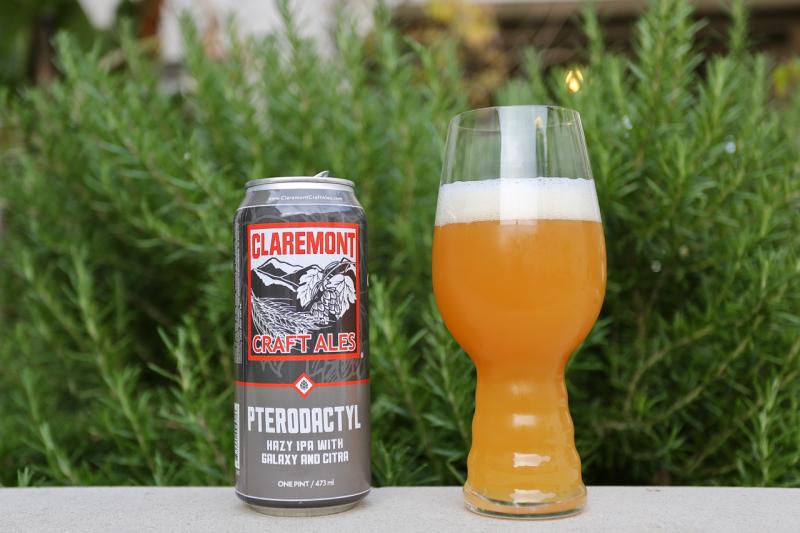 Pterodactyl from Claremont Craft Ales — photo 1 of 2