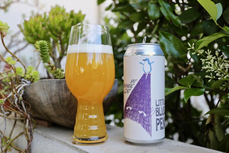 Little Blue Penguin from Fat Orange Cat Brew Co. — photo 1 of 1