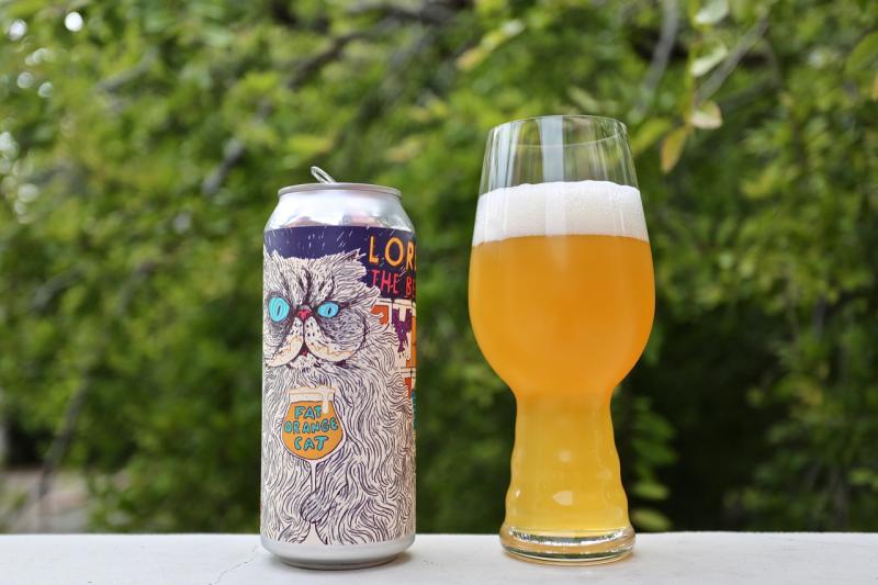Lorenzo the Beer Cat from Fat Orange Cat Brew Co. — photo 1 of 1