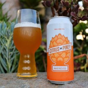Citrus & Piney IPA
