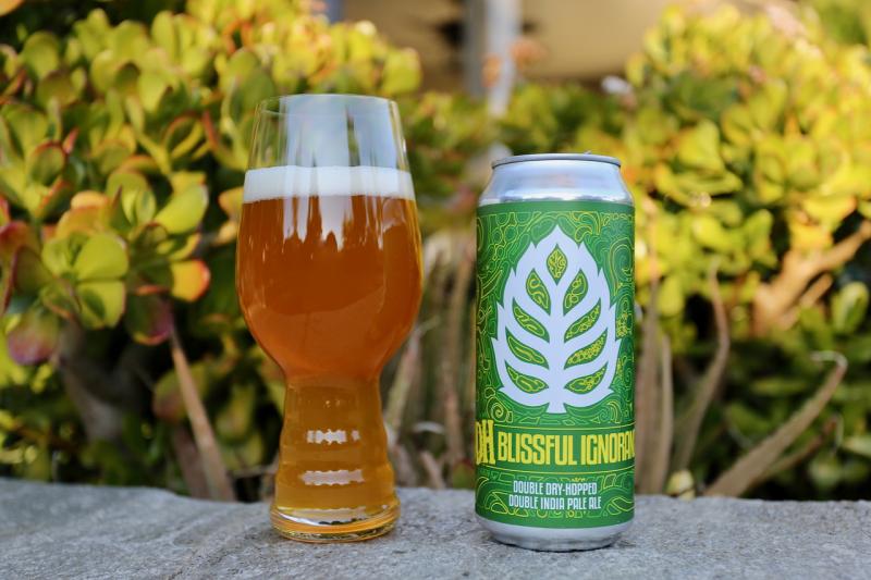 DDH Blissful Ignorance