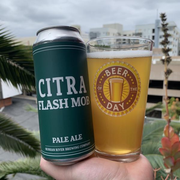 Citra Flash Mob from Russian River Brewing Company — photo 1 of 1
