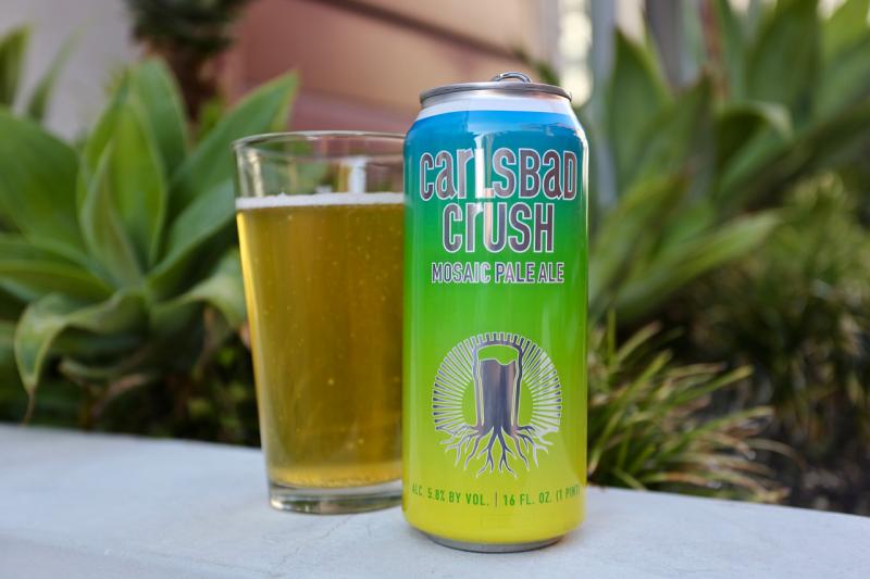 Carlsbad Crush from Burgeon Beer Company — photo 1 of 1