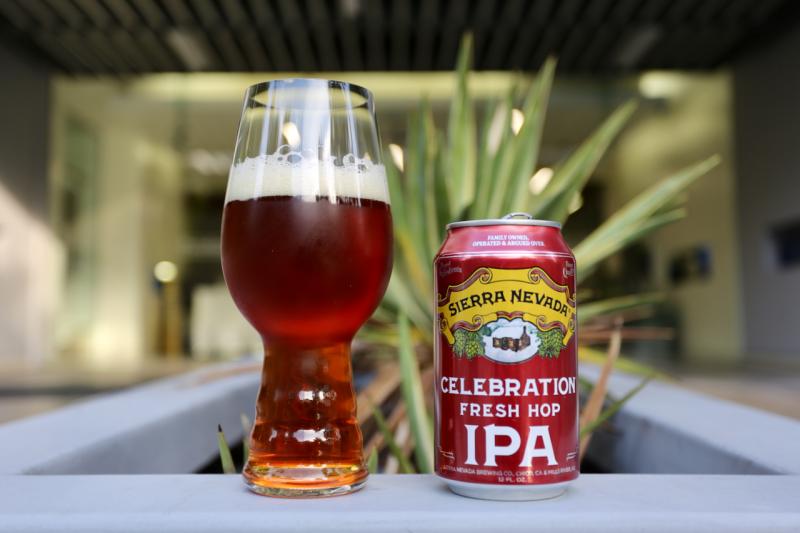 Celebration Fresh Hop IPA (2022)