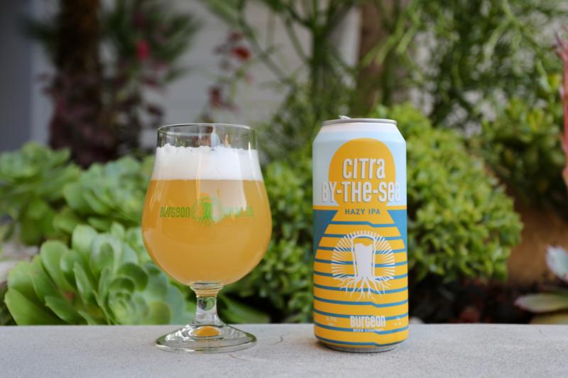 Citra By-The-Sea