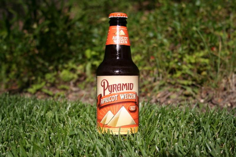 Pyramid Apricot Ale