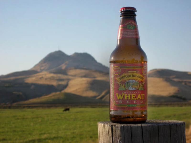 Sierra Nevada Unfiltered Wheat from Sierra Nevada Brewing Company — photo 1 of 4