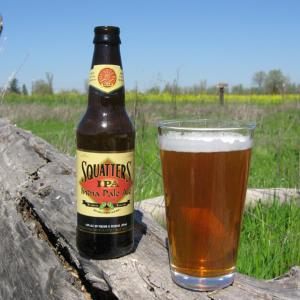 Squatters IPA
