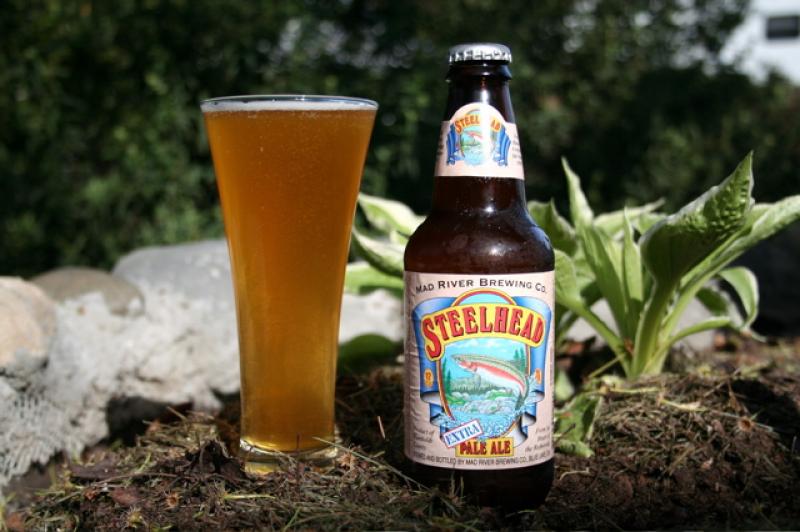 Steelhead Extra Pale Ale from Mad River Brewing Company — photo 1 of 4