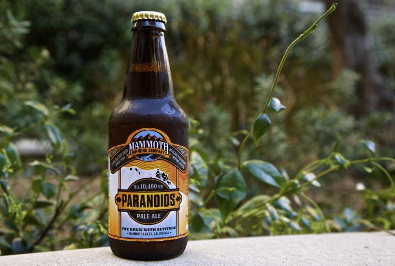 Paranoids Pale Ale