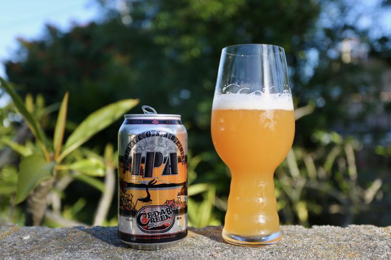 Bodhizafa IPA Brewing Company Beer of the Day