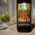 Albion Amber Ale Photo 
