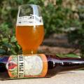 Avery India Pale Ale Photo 