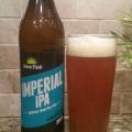 Green Flash Imperial IPA Photo 
