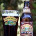 Sierra Nevada Brown Ale Photo 