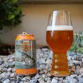 Two Hearted Ale Photo 3598