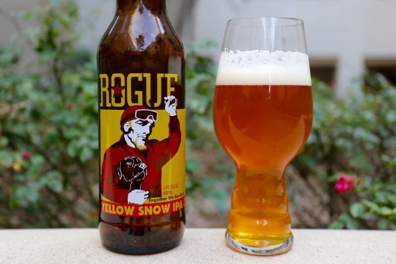 Bodhizafa IPA Brewing Company Beer of the Day